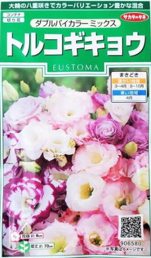 トルコキキョウ の実生に挑戦中 じぃじ のミニ盆栽日記 トルコキキョウ の実生に挑戦中 じぃじ のミニ盆栽日記