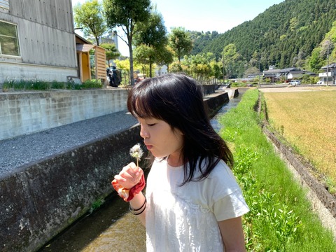 line_58145658223807