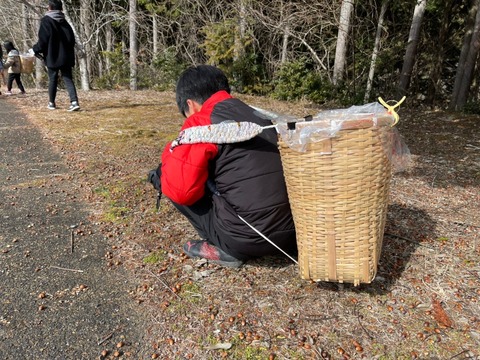 image_6483441 (6)