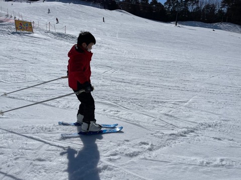 image_6483441 (5)