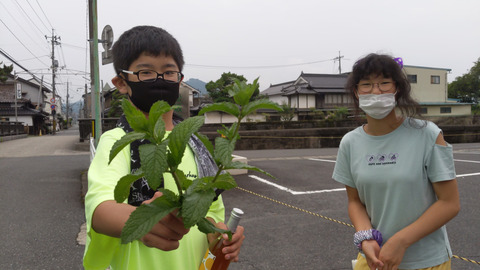 image_6483441 (20)