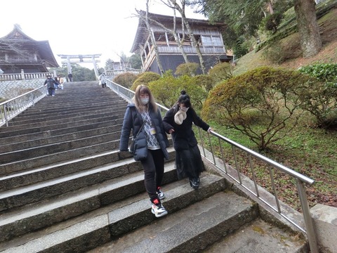 image_6483441 (32)