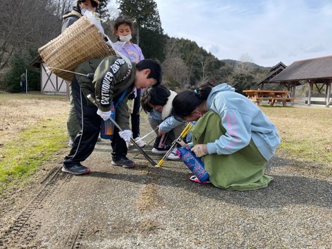 image_6483441 (2)