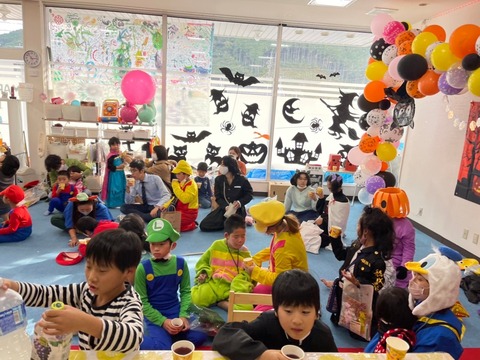 image_6483441 (1)