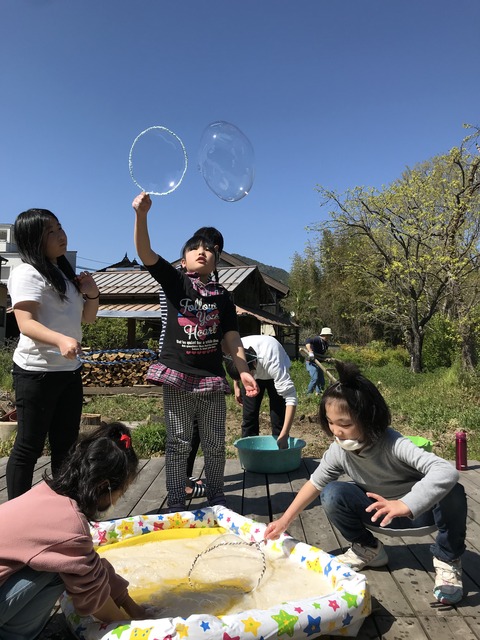 d24a458d.jpg