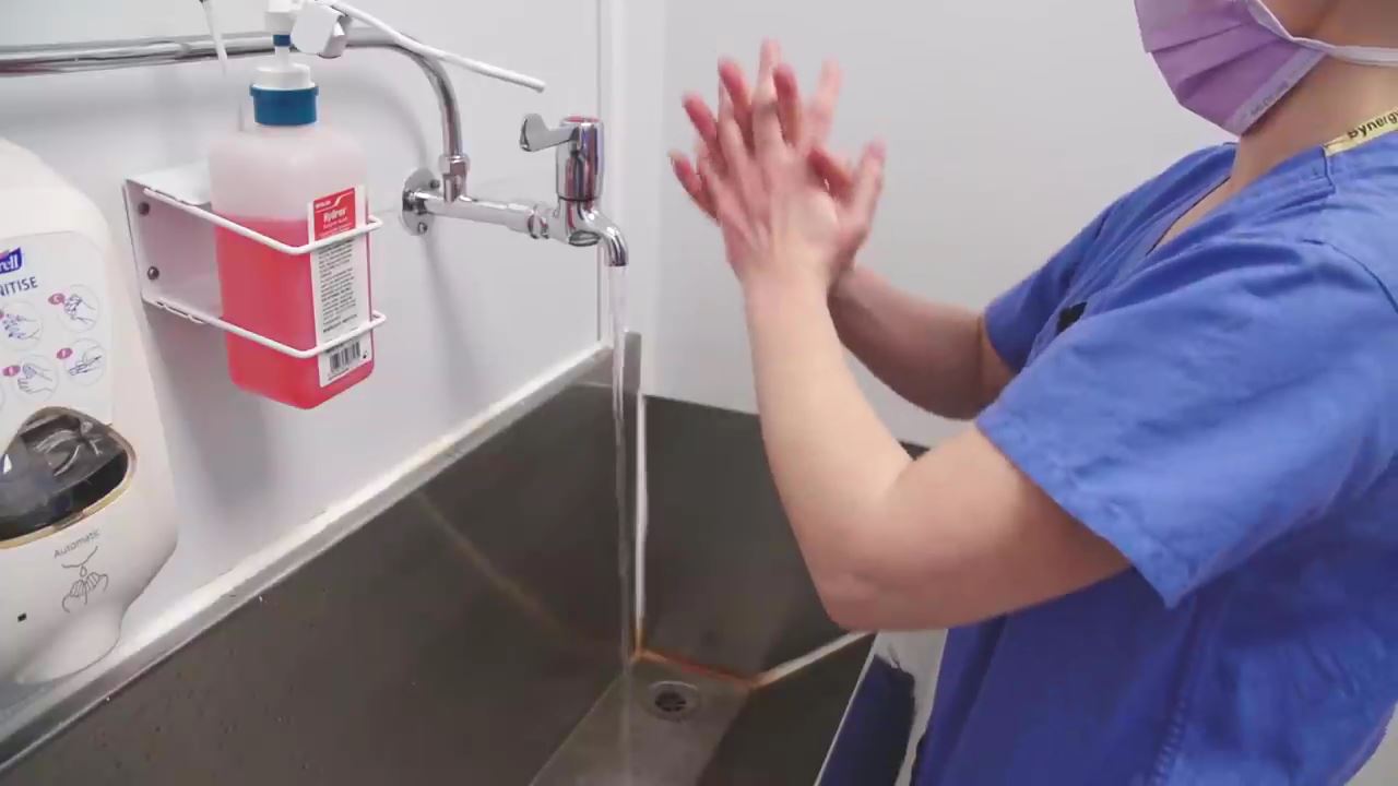 動画 海外英国より 手術室看護師の手洗い ガウンテクニックなど 病院のデモンストレーションより ピティナ 丸太いずみの 医療プレイ研究所part 2
