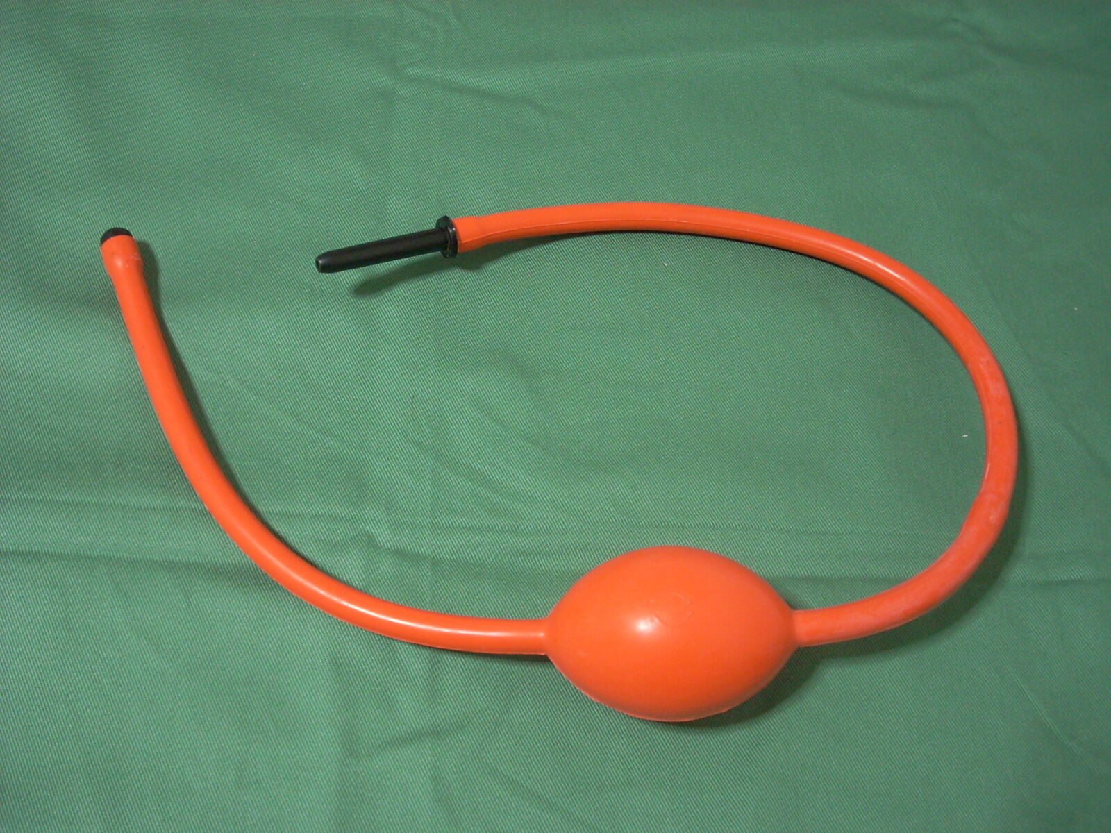 調教 イルリガートル