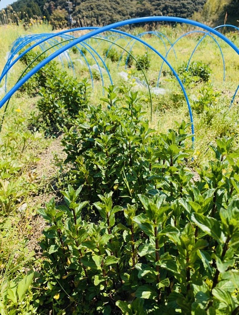 5A6E2342-9096-43C5-83B8-89DBC6EE0973