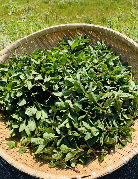 96E49BE4-C62A-469F-ADDB-77A89710ADB9