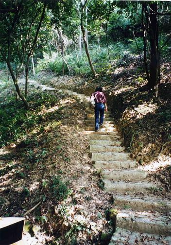 0143357a.jpg