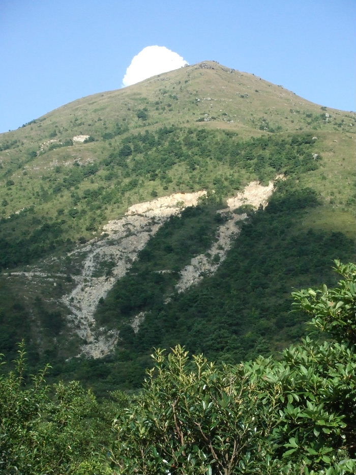 2010_10160143