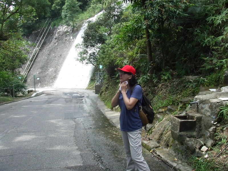 2010_10160267