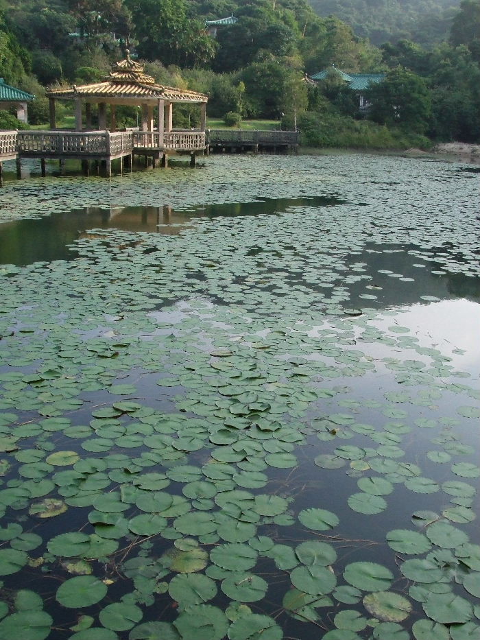 2010_10160634