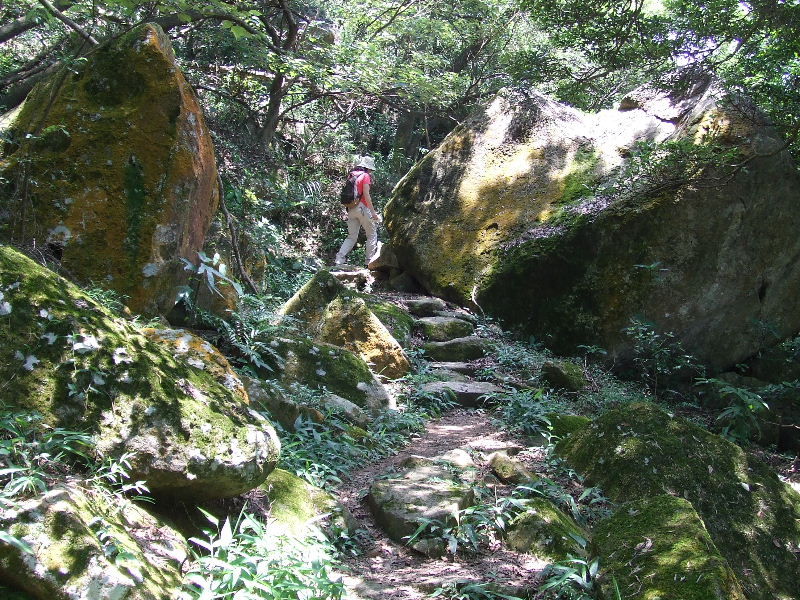 2010_07240077
