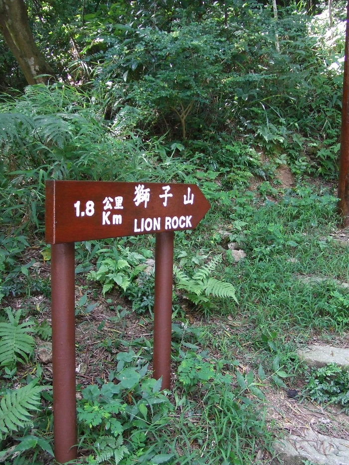 2010_10160274