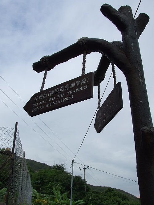 DSCF8185