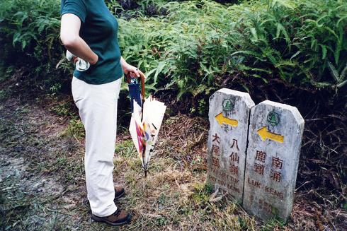 4b3323d5.jpg