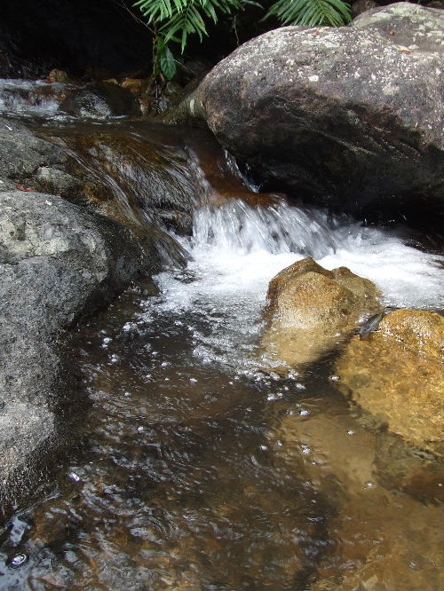 2010_07240196
