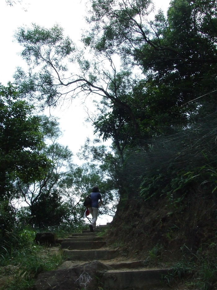 2010_10160282