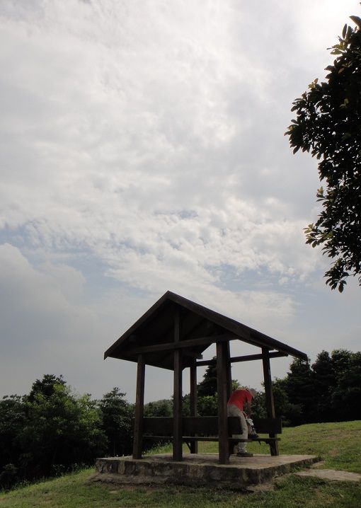 DSC03181