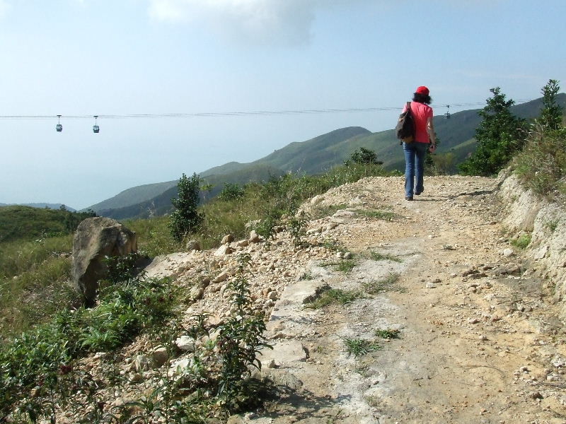 2010_10160132