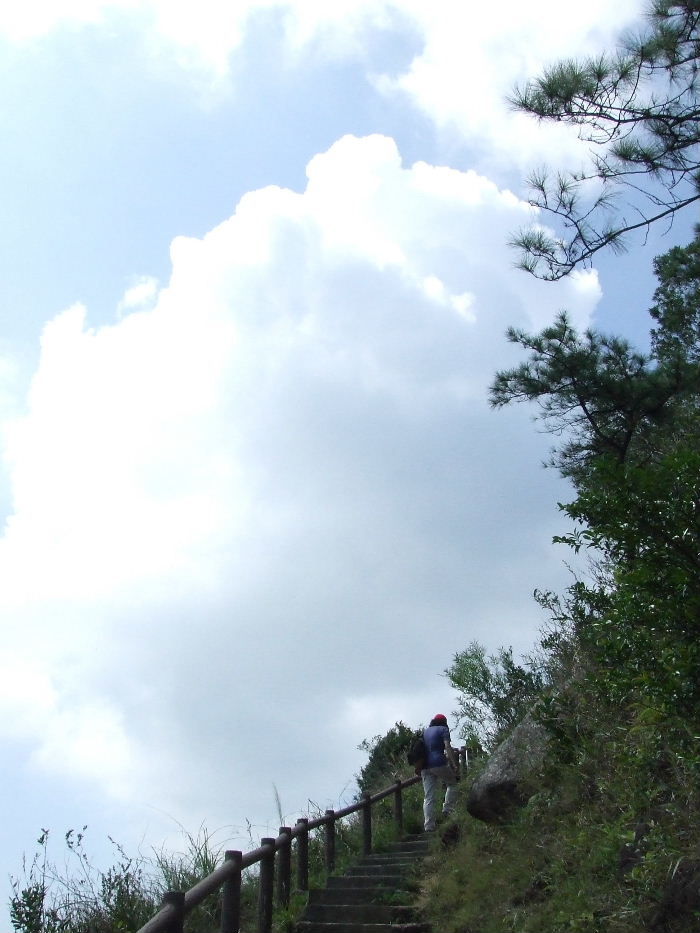 2010_10160320