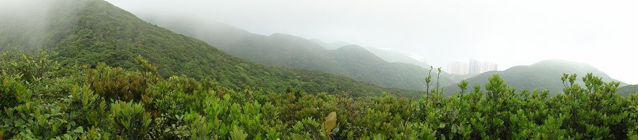 DSC02260