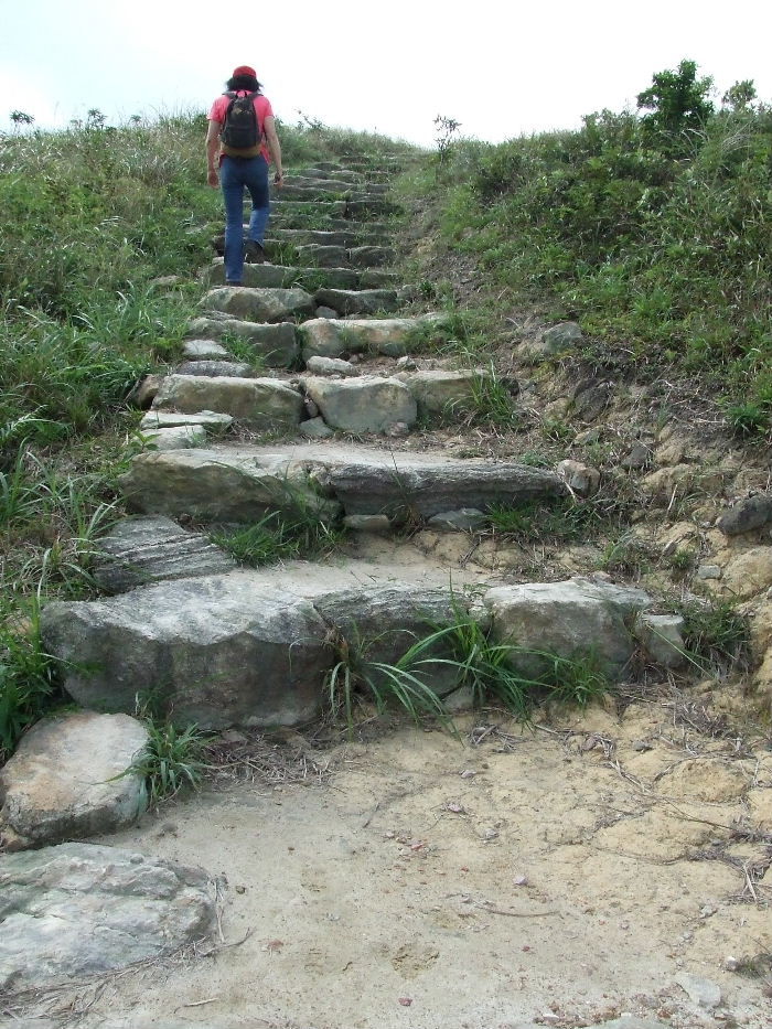 2010_10160088