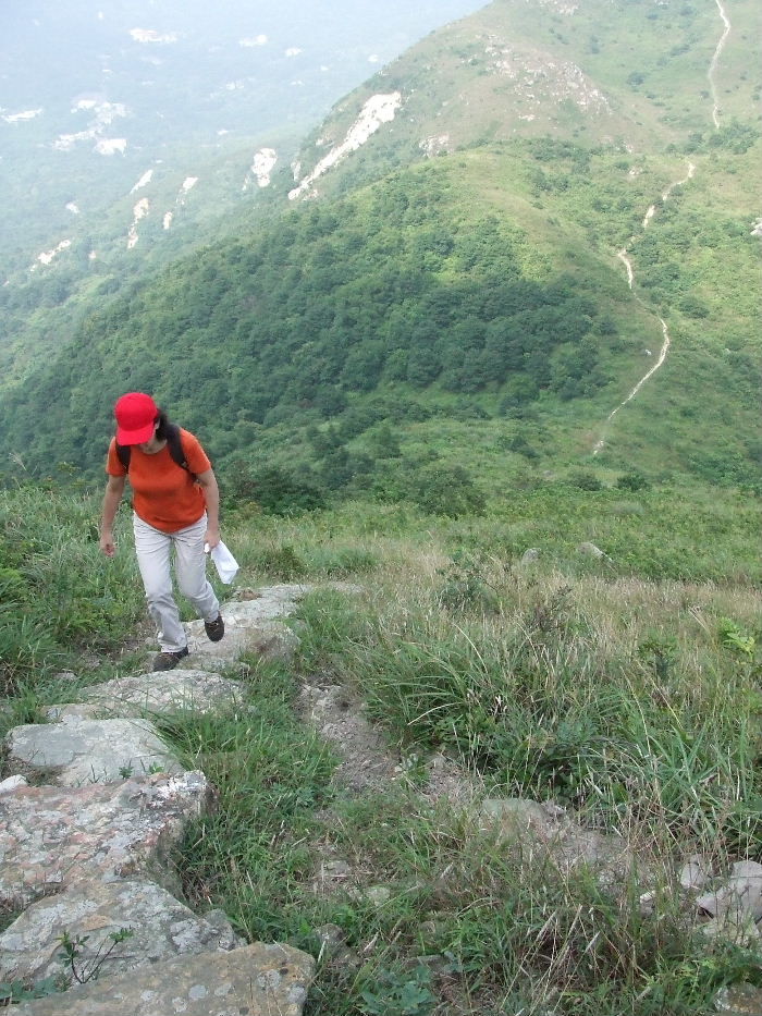 2010_10160562