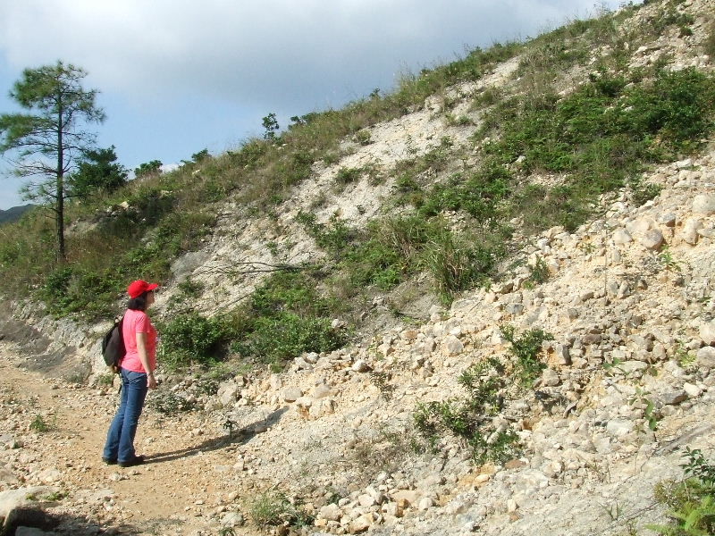 2010_10160130