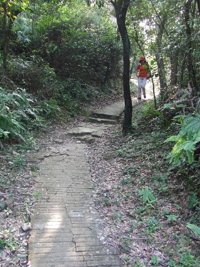 2010_10160620