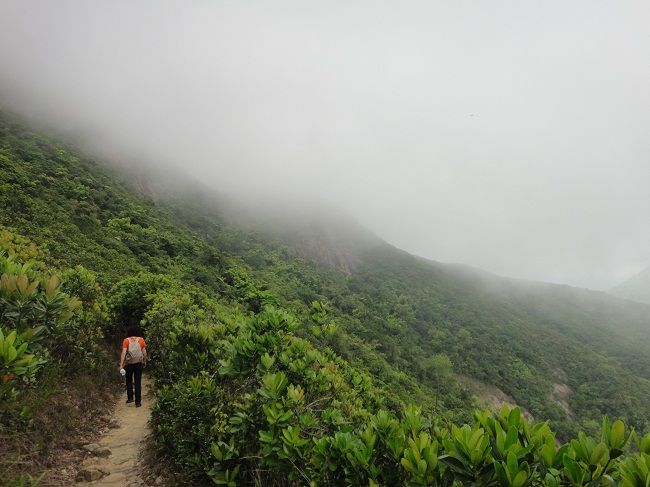 DSC02625