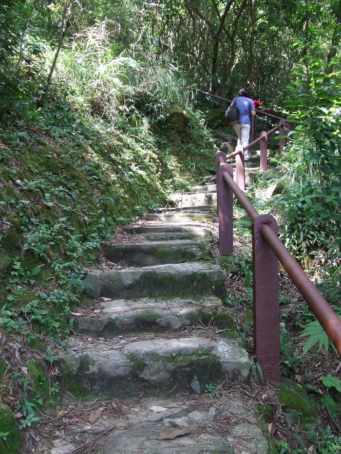 2010_10160277