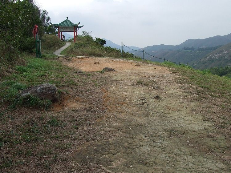 DSCF8253