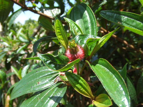 9e84955c.jpg