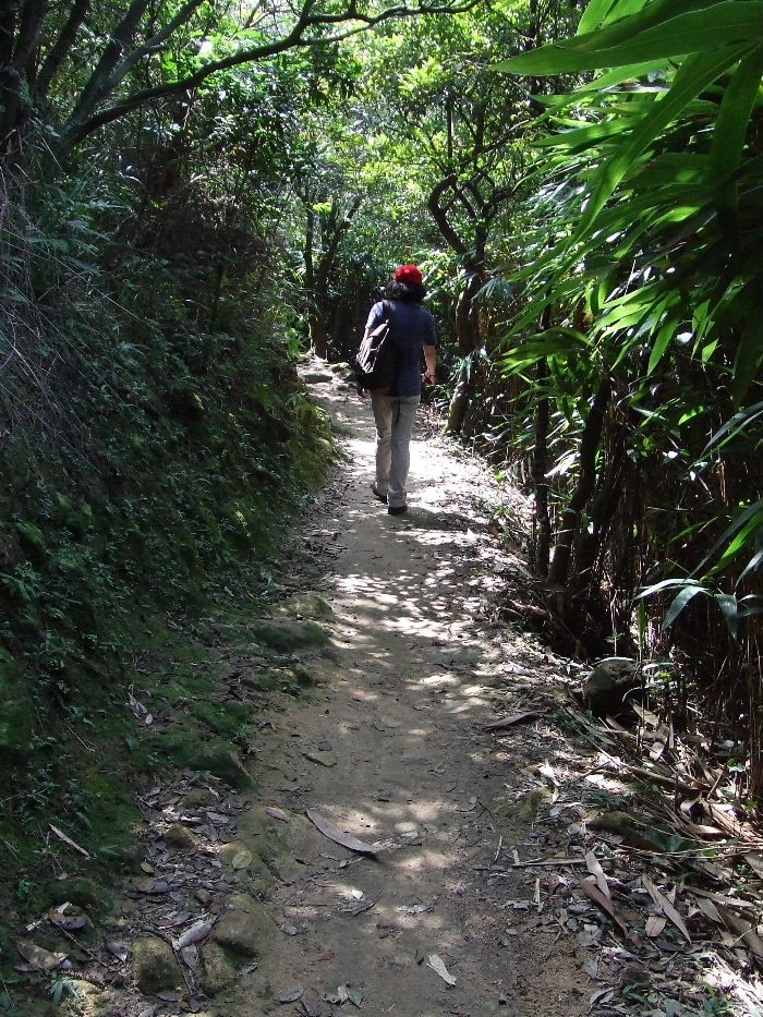 2010_10160335