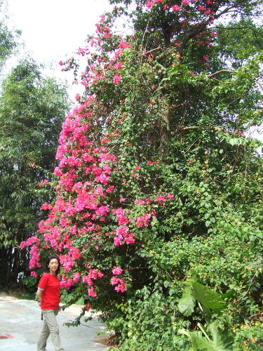 aeaacd88.jpg