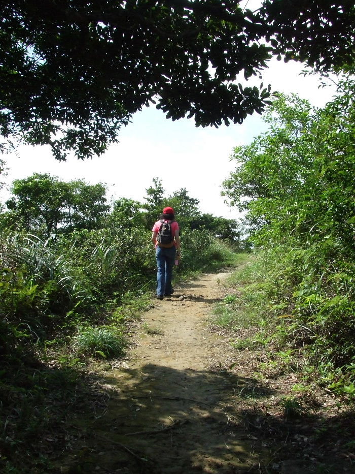 2010_10160103