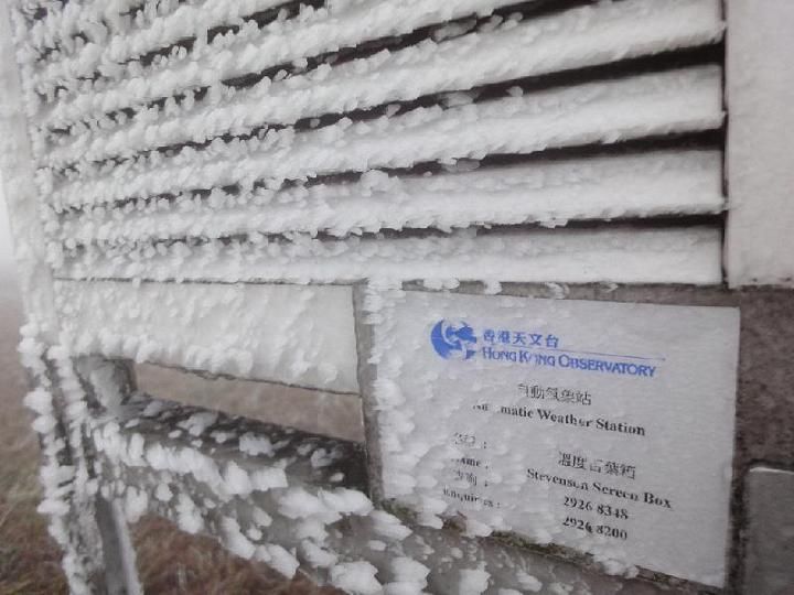 P201012160280_photo_1023309