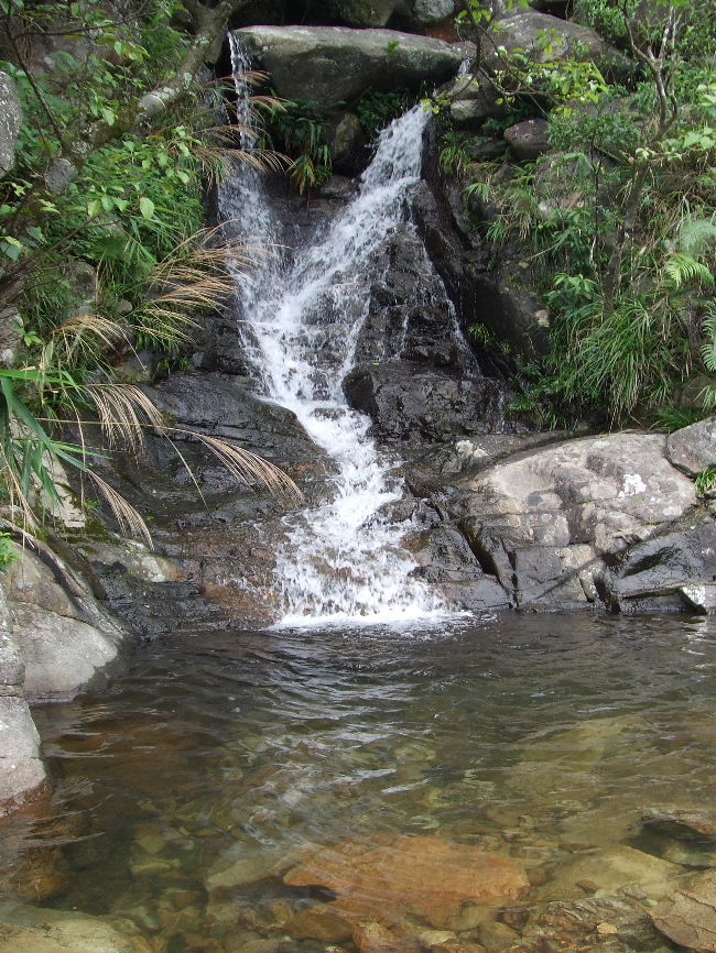 2010_07240158