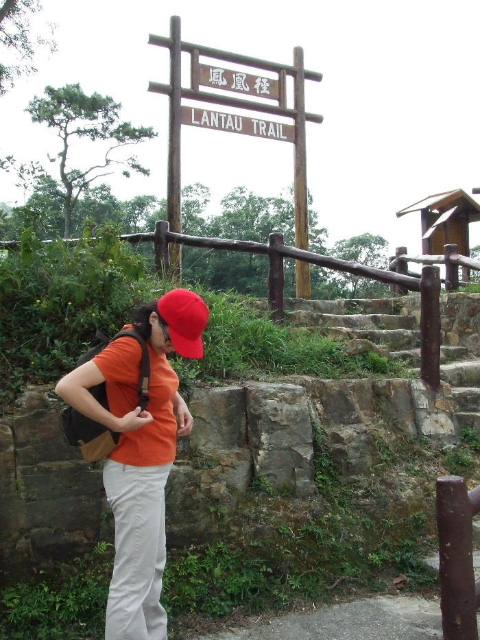 2010_10160536