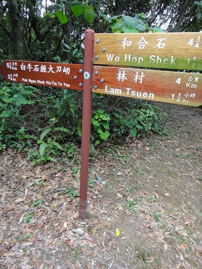 DSC03176