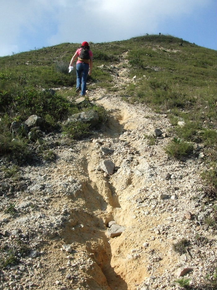 2010_10160152