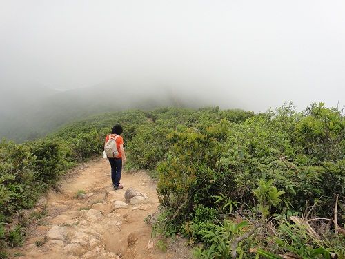 DSC02245