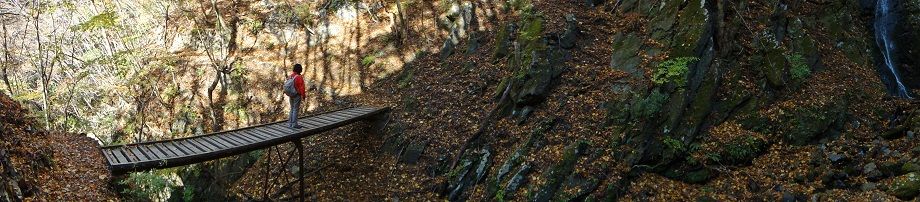 007JF17743F105E2903A61m