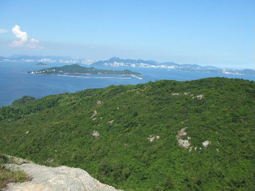 d04c9892.jpg