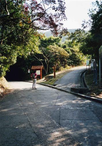 d277a638.jpg