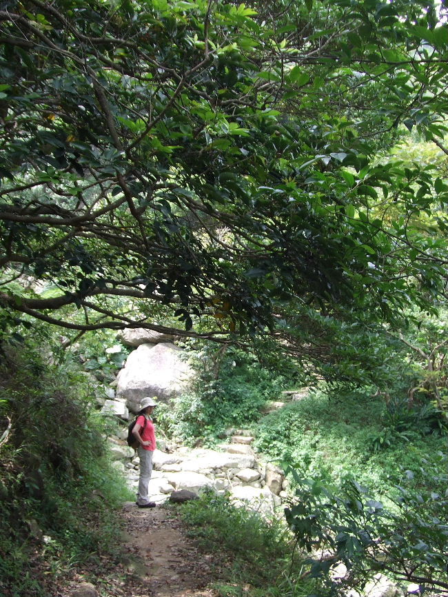 2010_07240133