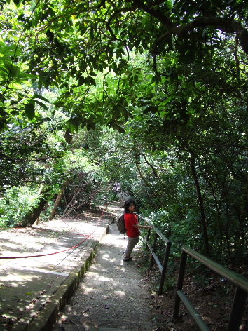 e820c4a5.jpg