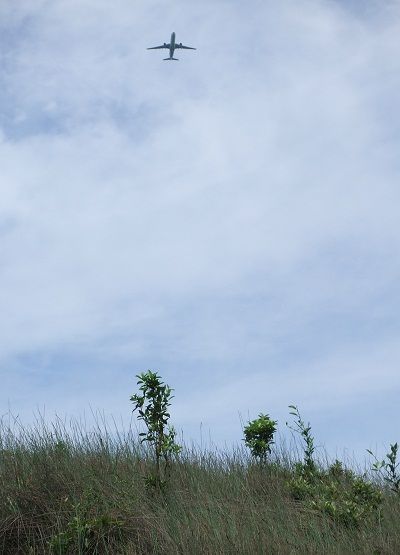 DSCF7116
